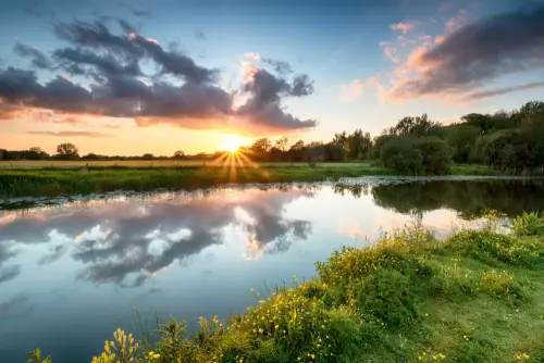 Discover Wimborne with Wilson Thomas