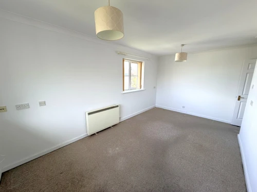 Apartment Main Photo