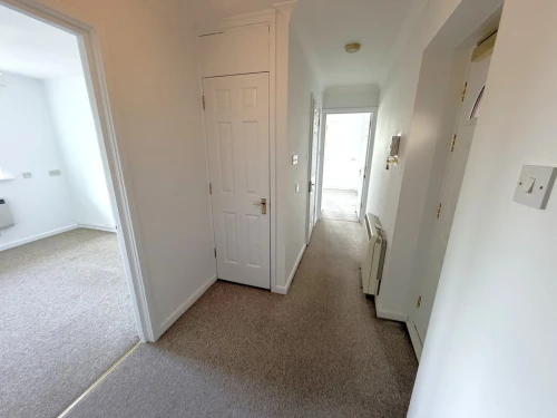 Apartment Main Photo