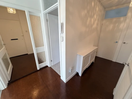 Apartment Main Photo