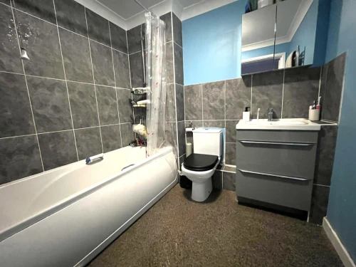 Apartment Main Photo