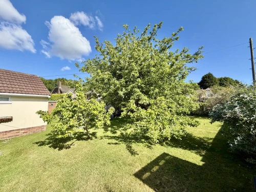 Detached Bungalow Main Photo