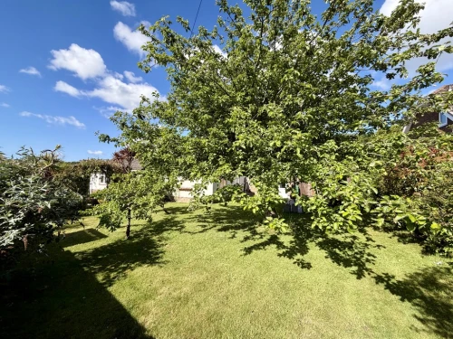Detached Bungalow Main Photo