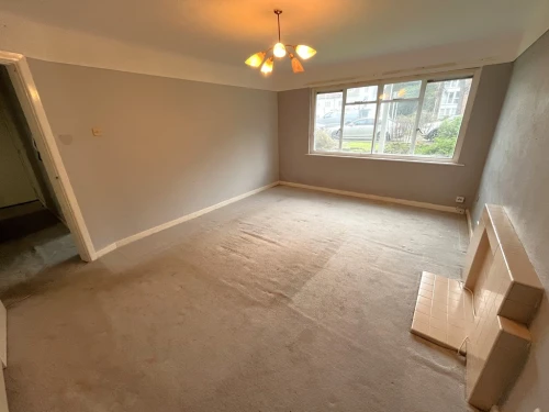 Apartment Main Photo
