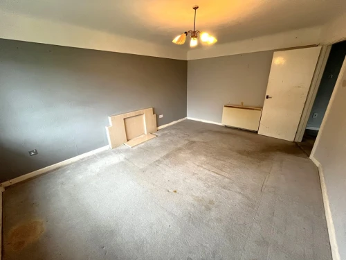 Apartment Main Photo