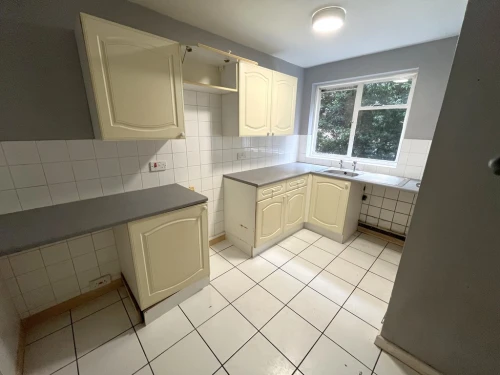 Apartment Main Photo