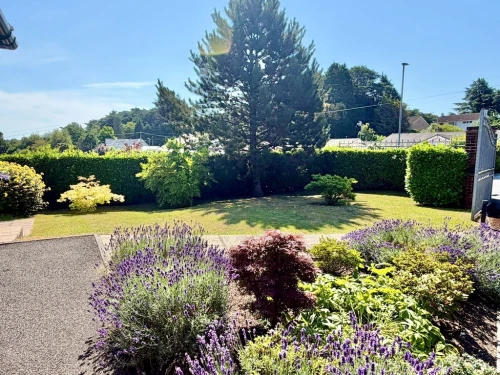 Detached Bungalow Main Photo