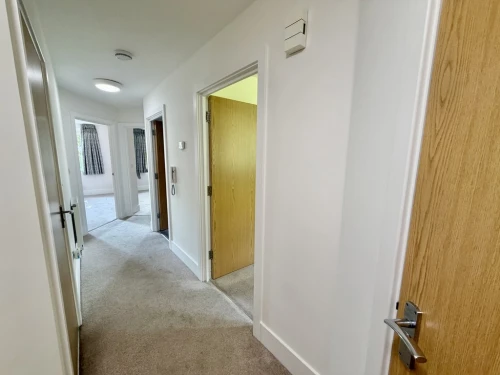 Apartment Main Photo