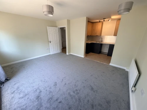 Apartment Main Photo
