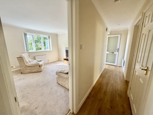 Apartment Main Photo