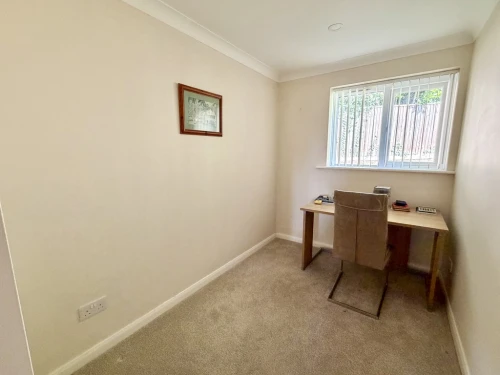 Apartment Main Photo