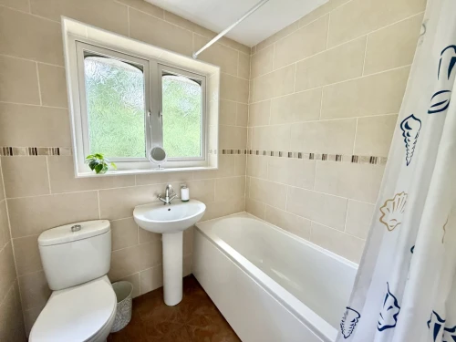 Semi-Detached House Main Photo