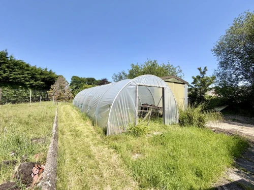 Detached Bungalow Photo 4